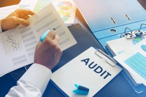 Advantages of Auditing for Businesses